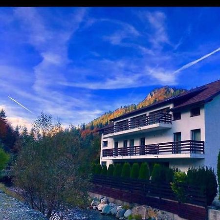 House Of River Moeciu De Sus Exterior photo